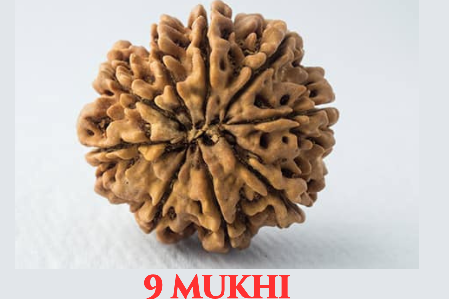 Cat’s Eye (Lehsunia)